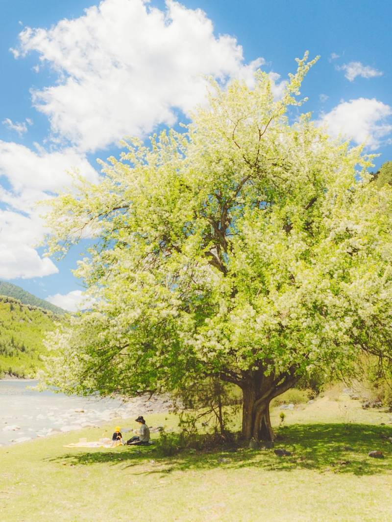 舍不得删 那些旅行拍到的最美照片