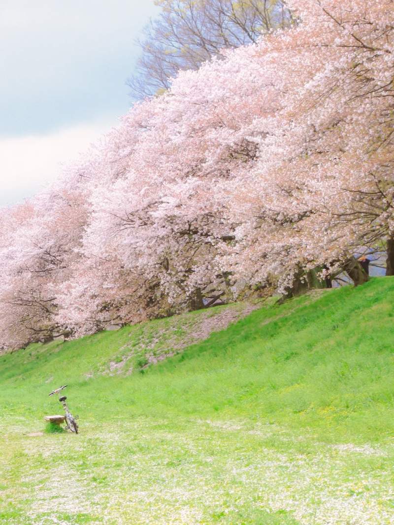 舍不得删 那些旅行拍到的最美照片