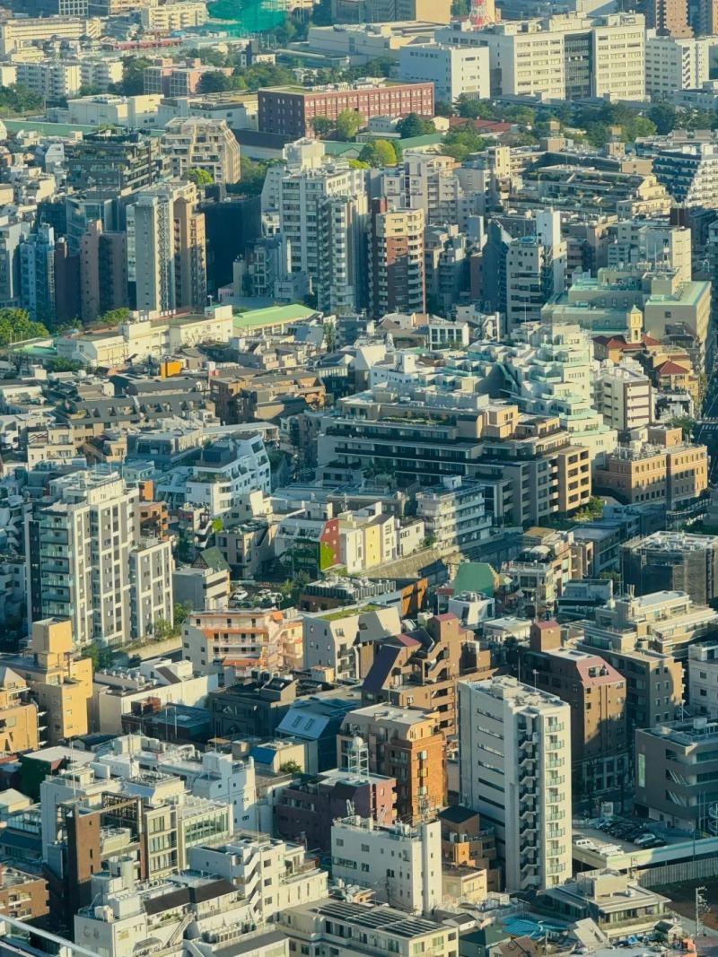 俯瞰东京，似乎超越了人类的理解能力