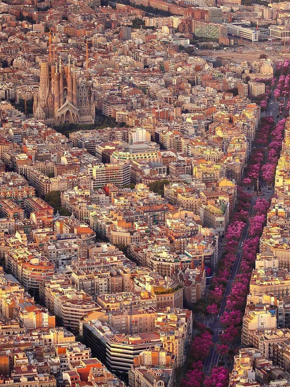 匈牙利简史 ⑰ 匈牙利还是哈布斯堡?匈牙利如何沦为哈布斯堡领地