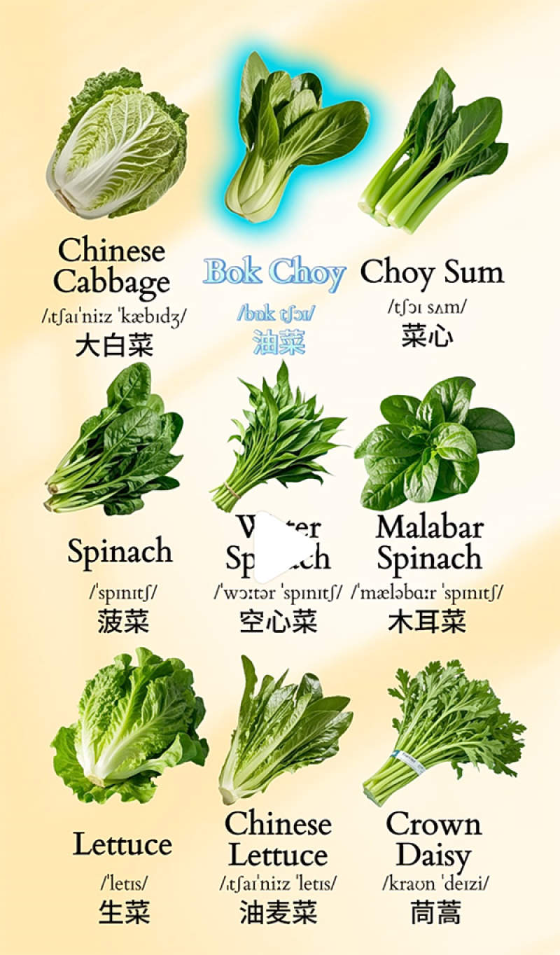 这些菜用英语怎么说?茼蒿?空心菜?油菜?