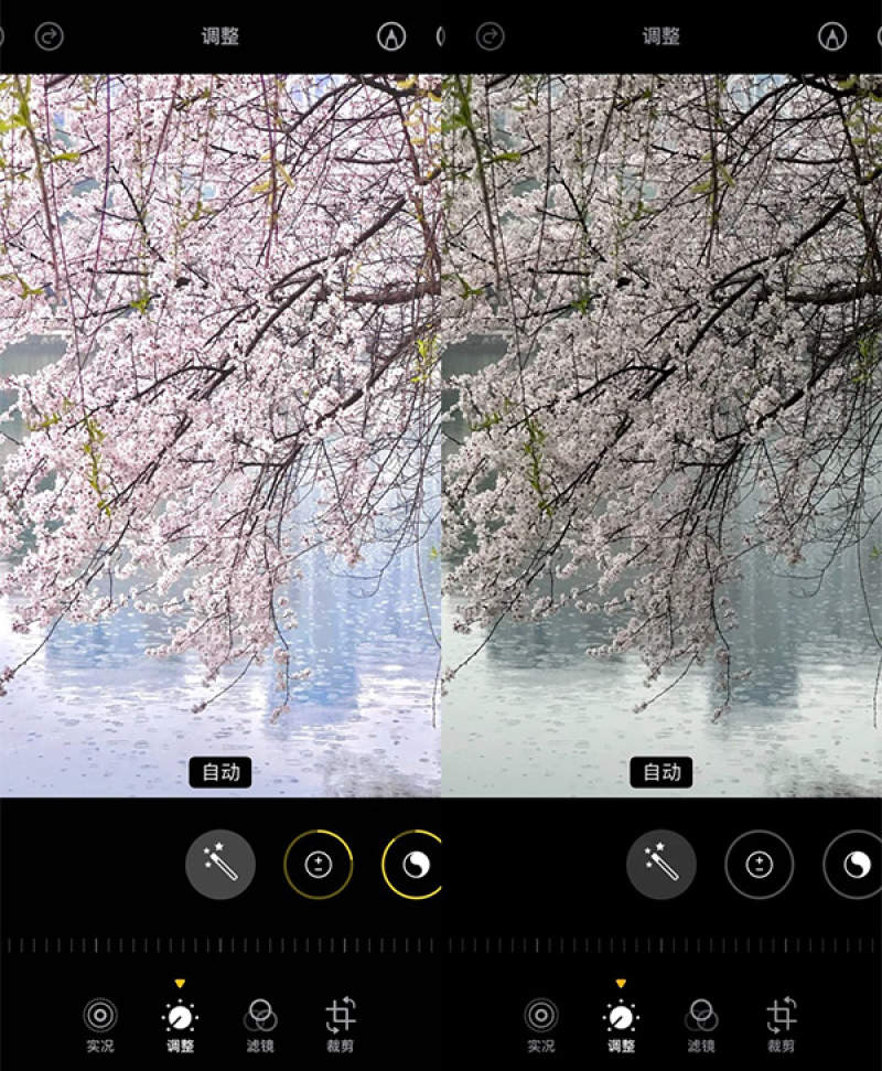 终于知道这种阴天樱花滤镜怎么调了