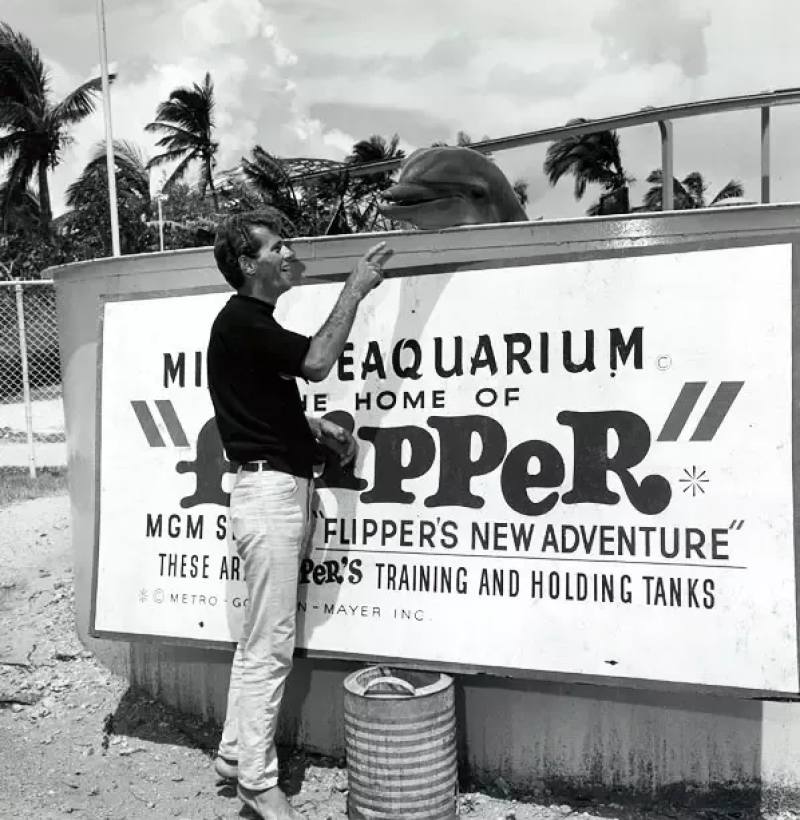 他用十年建立了海豚表演业，然后用余生去毁灭它