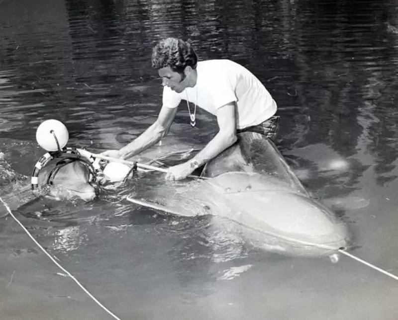 他用十年建立了海豚表演业，然后用余生去毁灭它