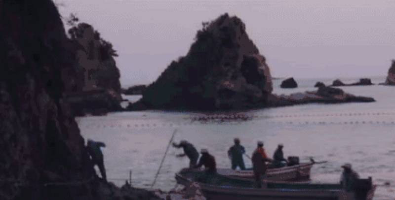 他用十年建立了海豚表演业，然后用余生去毁灭它