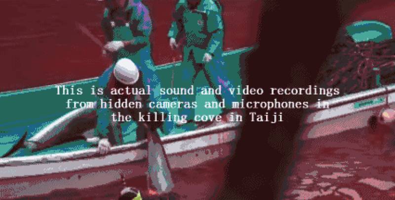 他用十年建立了海豚表演业，然后用余生去毁灭它